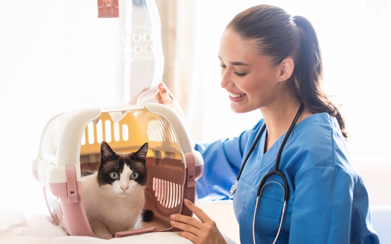 Assurance animaux