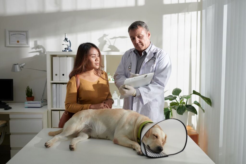 Mutuelle pour animaux