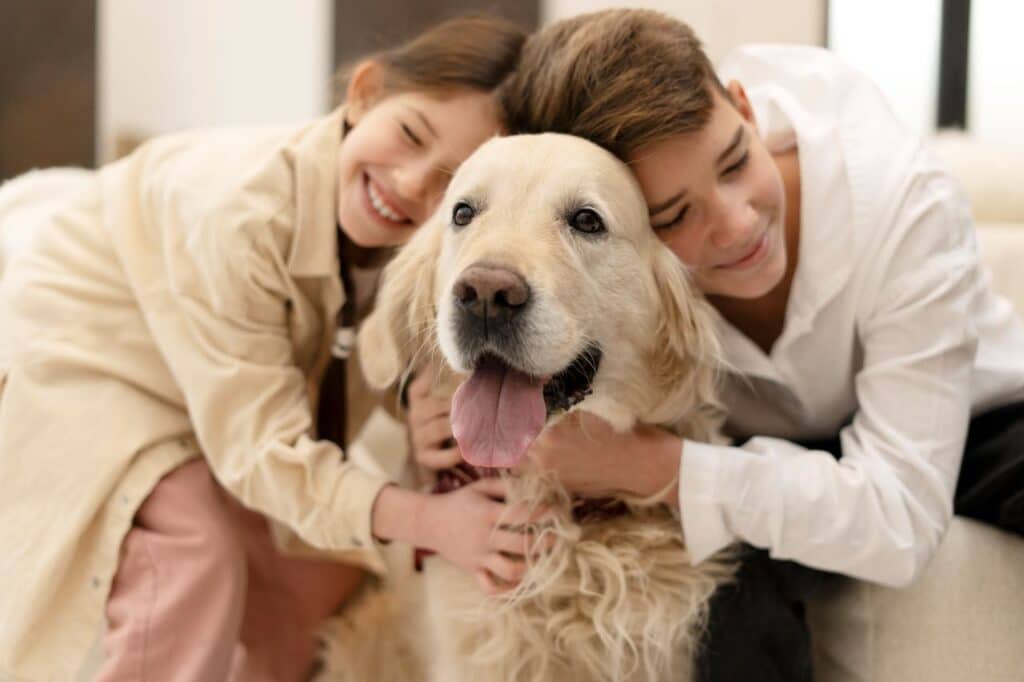 Mutuelle pour animaux