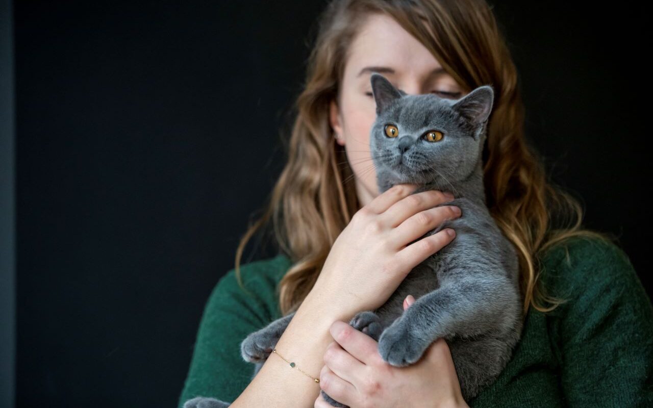 Mutuelle pour chat