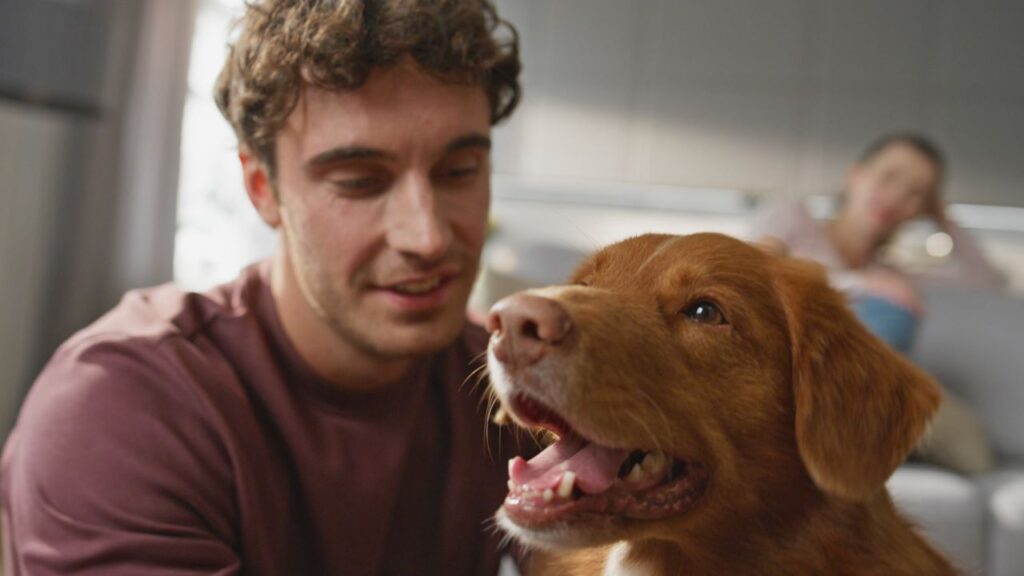 Mutuelles pour animaux