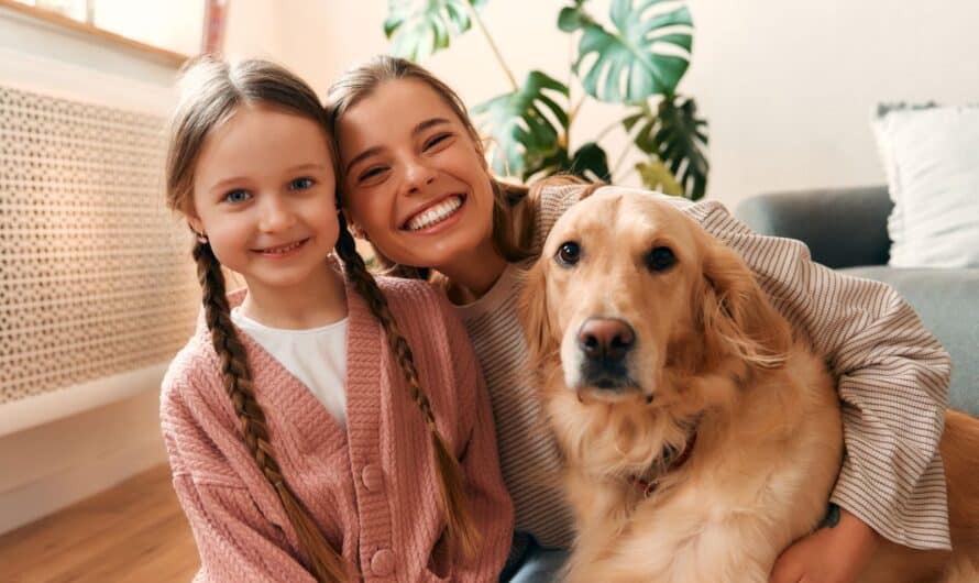 Mutuelles pour animaux : comment résilier ou changer de contrat facilement