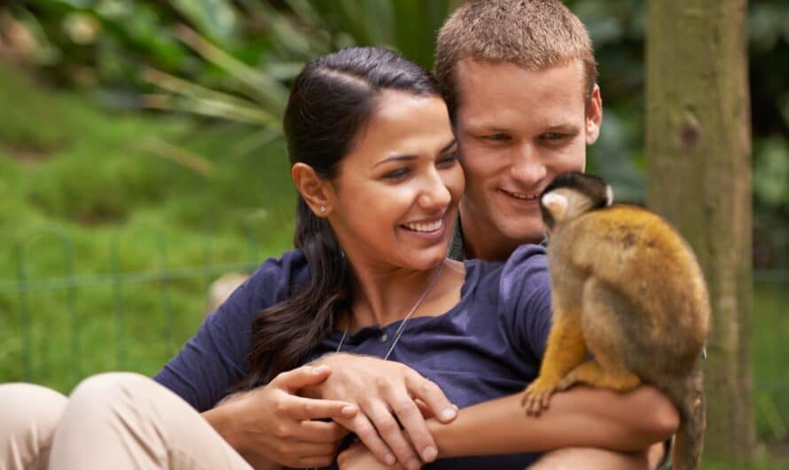 Mutuelles pour animaux exotiques : une protection pour vos compagnons atypiques