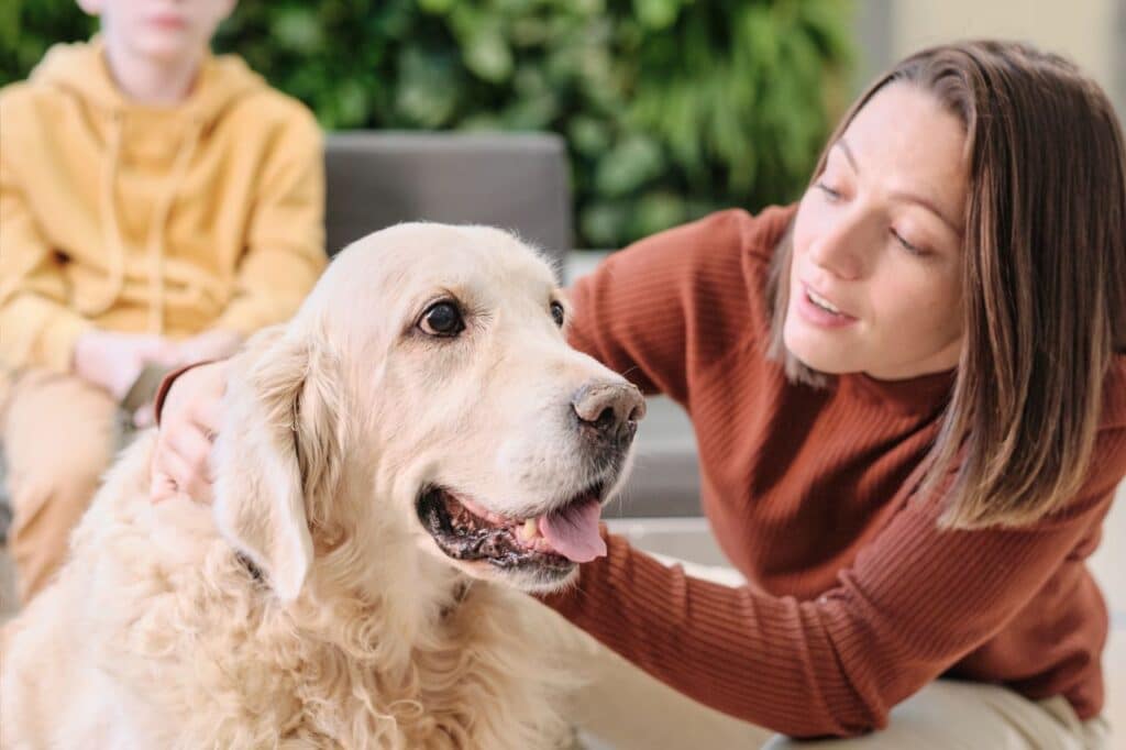 mutuelle pour animaux 