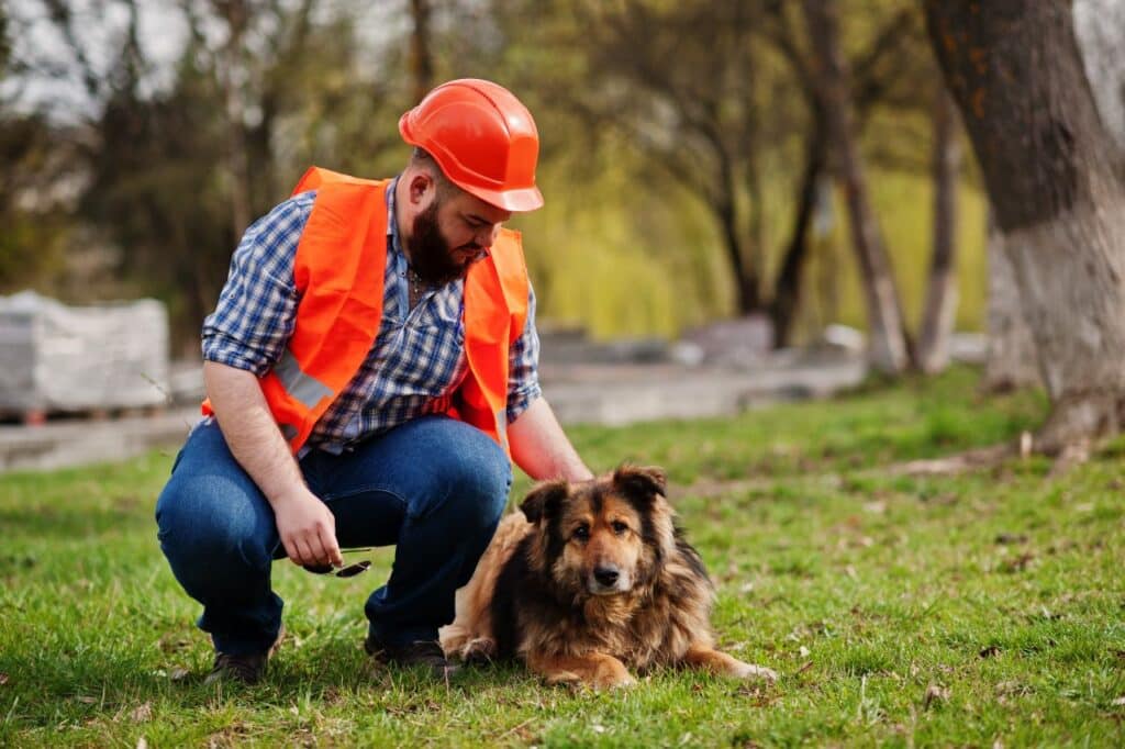 mutuelle pour votre chien de travail