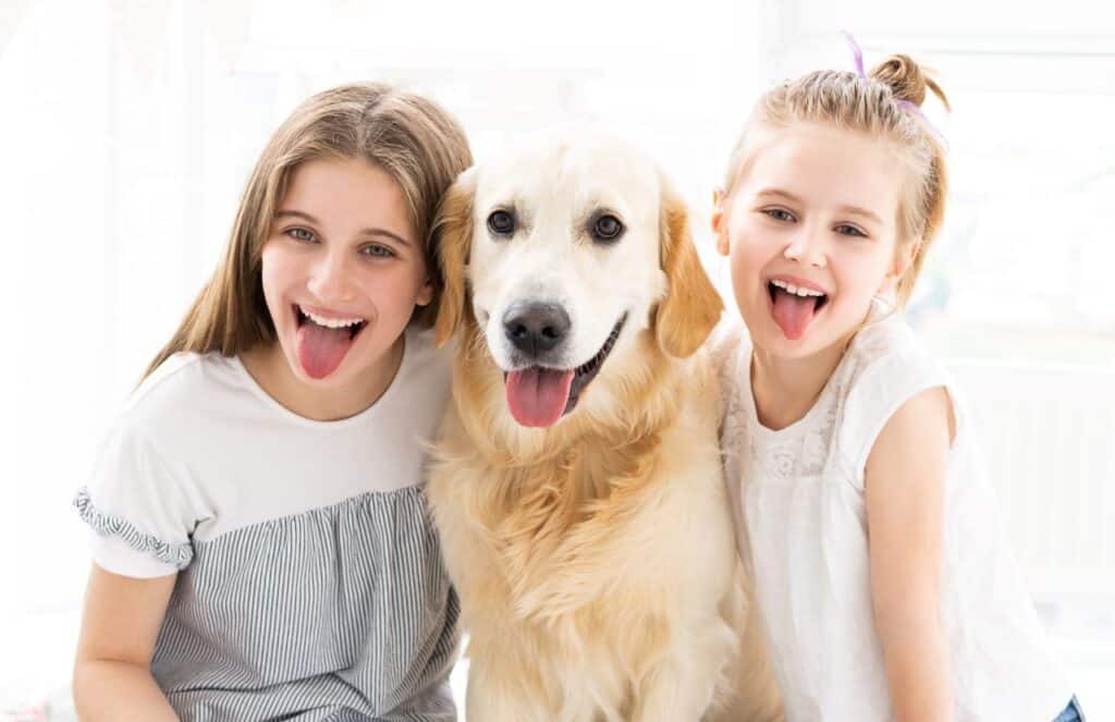 mutuelles pour animaux